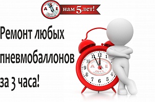 Пневмобаллон задний W221 левый / правый (пр-во Германия)