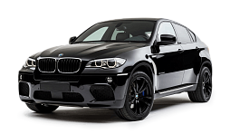 Запчасти BMW X6 E71