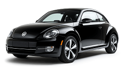 Beetle A5